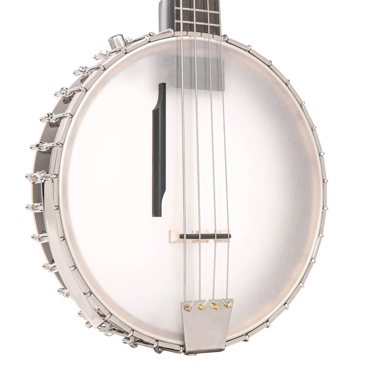 Gold tone cheap bass banjo