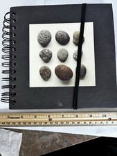Black Spiral-Bound Journal Notebook, Art, Cardboard Cover w/ Elastic Band