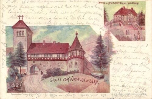 Künstler Ak Silium Holle in Niedersachsen, Burg Wohldenberg, Hotel... - 10909638 - Bild 1 von 2