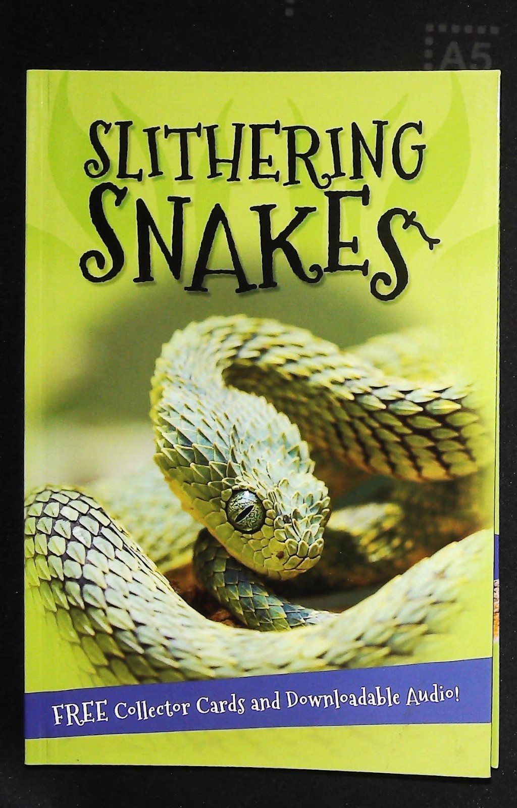 SNAKES FACT BOOK FOR CHILDREN It's All About.. Snakes by Kingfisher NEW