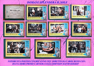 S01 TOMORROW SHINE THE SUN PHOTOBUSTA POSTER YEAR 1955 DIANA DORS CARNERA REED 