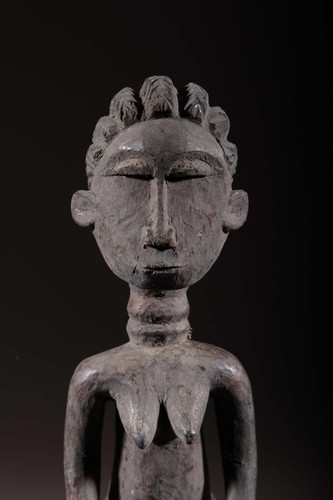 Colon Agni 2564 - Photo 2 sur 13