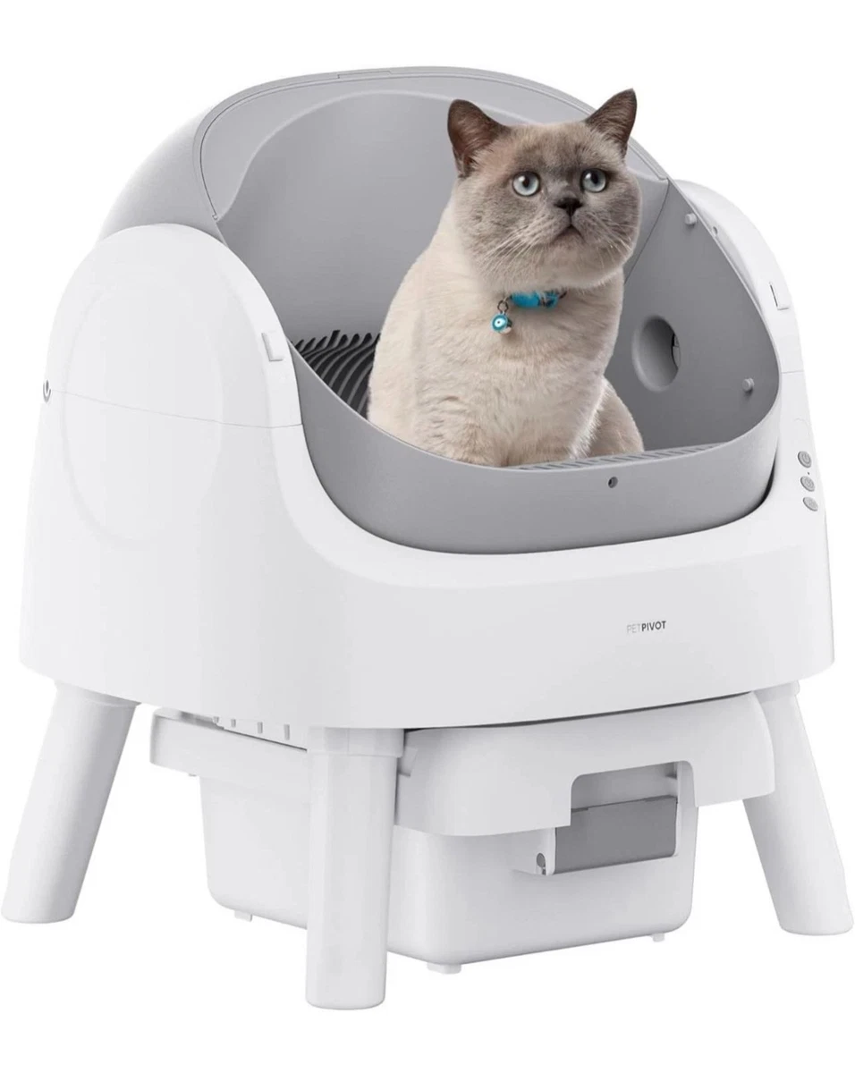 Tuft Box High Sided Litter Box 6 Best Large Litter Boxes For Big Cats Of 2024 ...