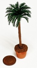 Dolls House Small Palm Tree In A Terracotta Pot 1:12 Scale Garden tumdee
