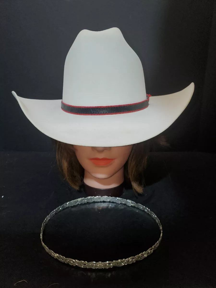 6x stetson sales beaver