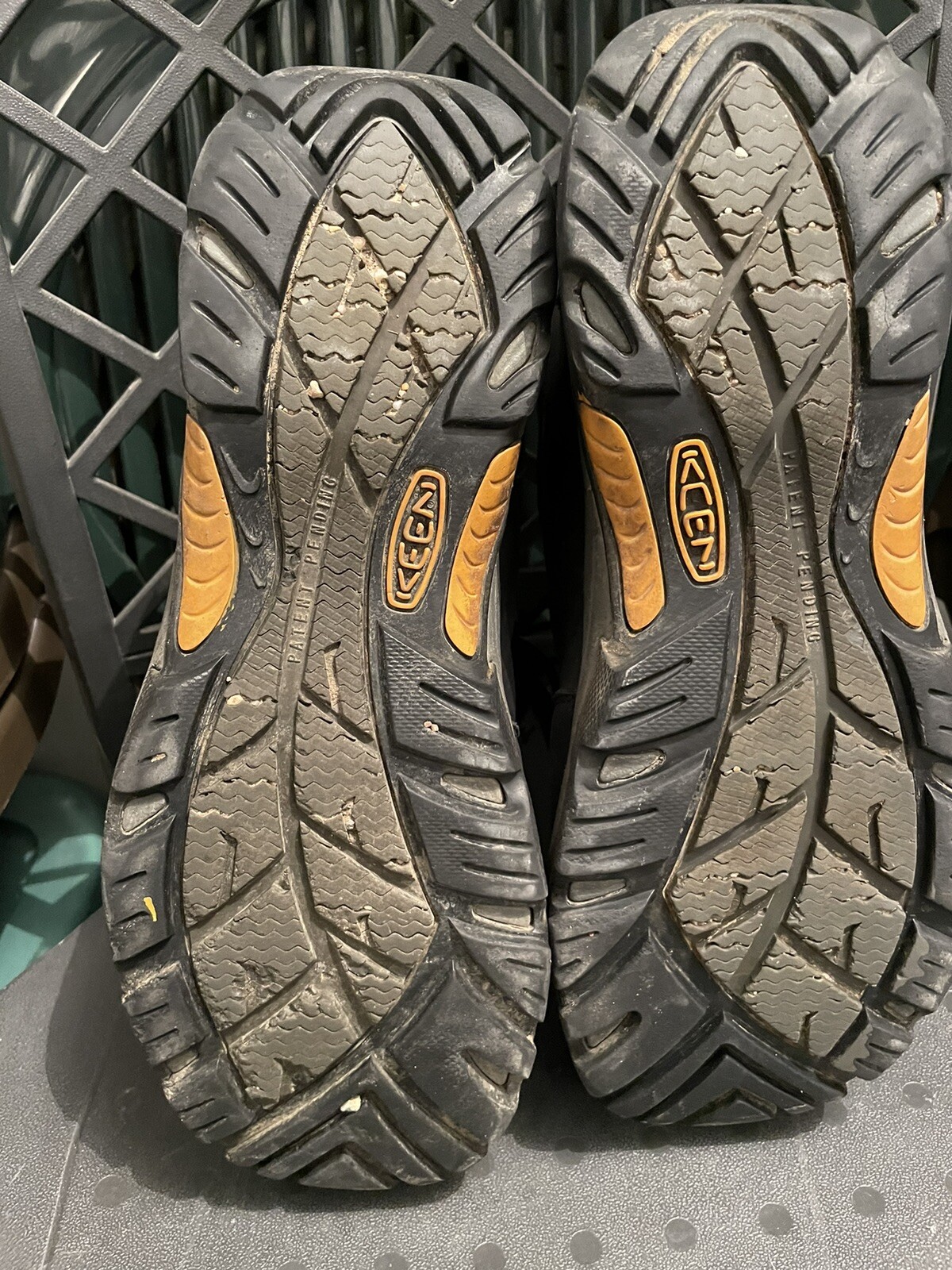 Stivali da caccia isolati KEEN da uomo 13 Shellback KeenDry