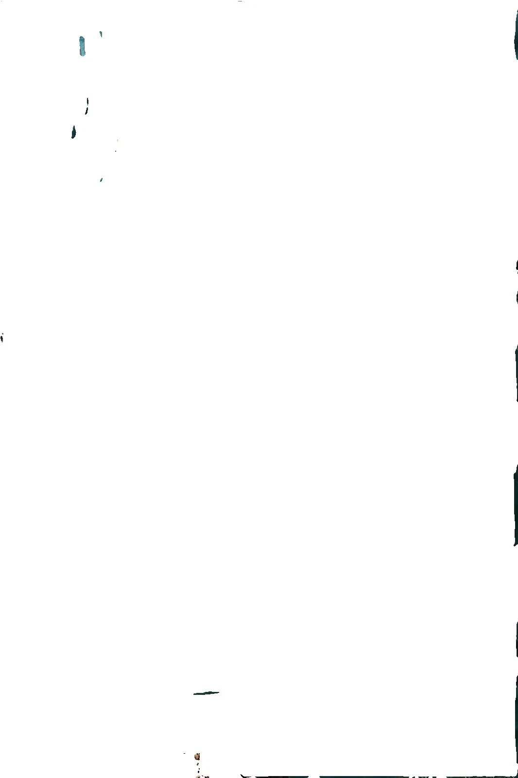 Anthropologie Floral Ropa de cama