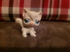 Authentic Hasbro Littlest Pet Shop Lps #9 White Longhair Cat Blue Eyes Rare 1gen