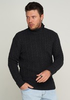 Herren Rollkragenpullover Als Grobstrick Pulli Mit Zopfmuster Neu