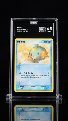 Mudkip graded TAG 6.5 for sale on eBay