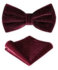 TIE G Men's Glitter Velvet Bow Tie  Pocket Square Set in Gift Galaxy Wine Red