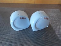 Salz+Pfeffer Set Seltmann Weiden Monaco Bordina Neu 24079