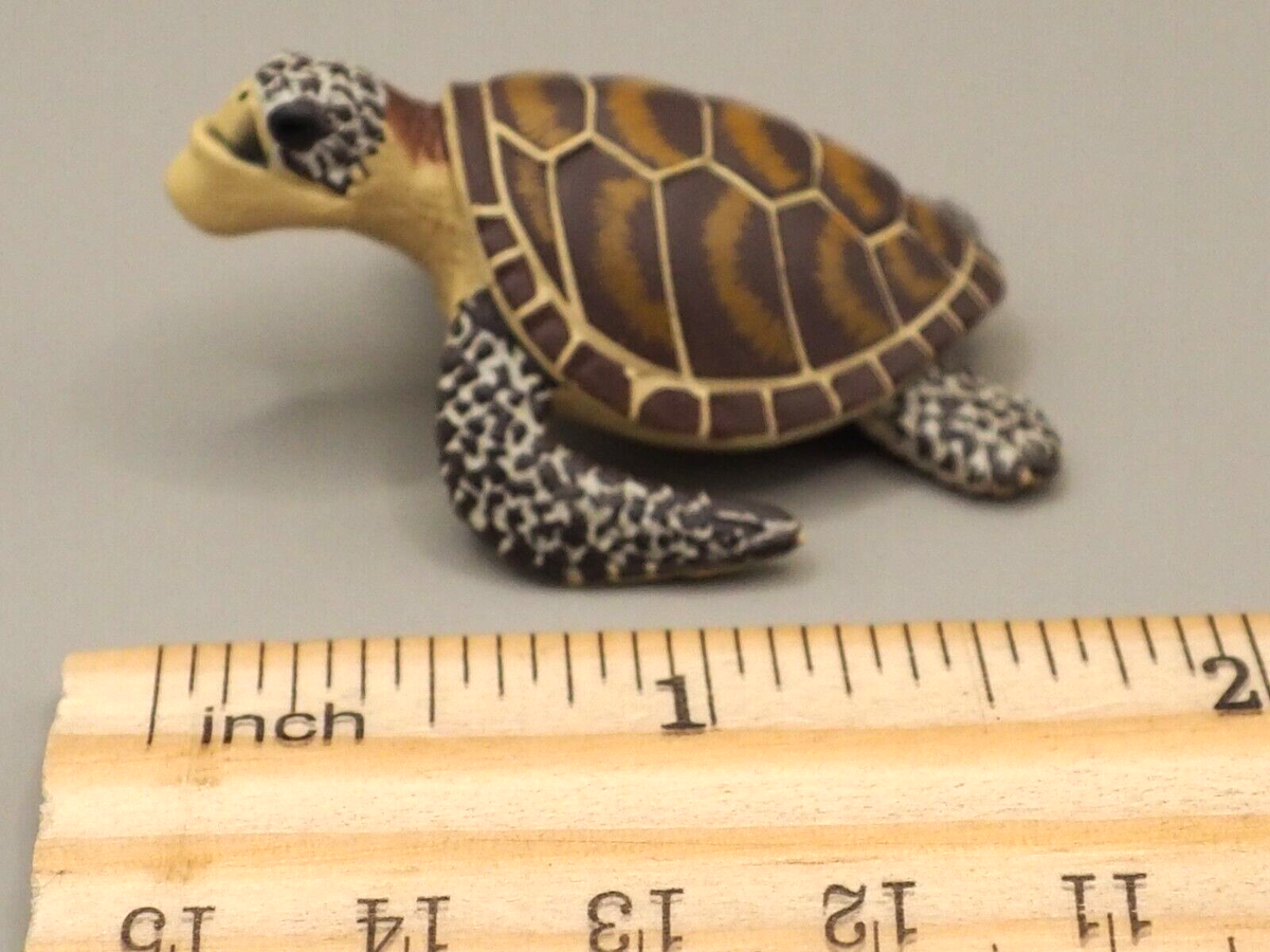 ラフアンドスウェル　 RSM-25213　PABLO OFF TURTLE ラフアンドスウェル RSM-25213 PABLO OFF TURTLE ラフアンドスウェル