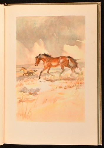 1945 The Red Pony John Steinbeck première édition illustrée 2024 Wesley Dennis