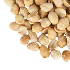 Bulk Extra Large Roasted Salted Blanched Virginia Peanuts (Select Size Below)