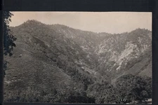 Near BIG BEAR, CA * UNTITLED SAN BERNARDINO NAT'L FOREST * UNPOSTED RPPC c 1920s