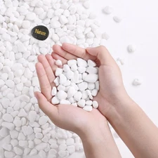 SIDONG 10 LB White River Rocks, 0.3-0.5 Inches Matte Pebbles for Indoor Plants,
