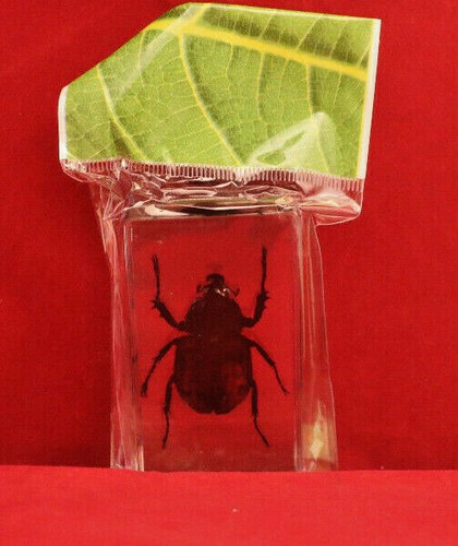 +++Mini-Biester Ausgabe 60+++Die Solitärwespe+++Hachette, neu - Picture 2 of 3