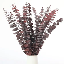 16 Pcs Dried Eucalyptus Stems, 17'' Natural Fresh Eucalyptus Leaves Branches ...