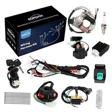 Complete Wiring Harness Kit for Tao tao Coolster 110cc Chinese ATV  125cc