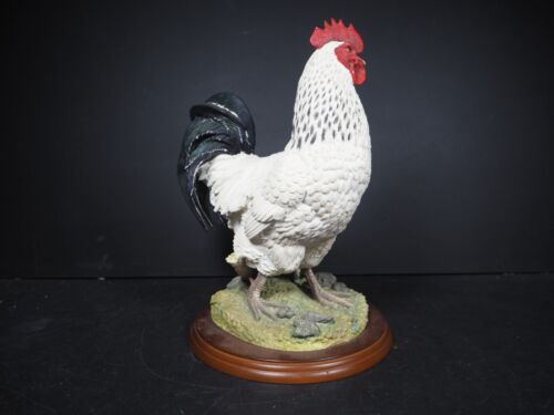 Large Border Fine Arts Studio Birds by Russell Willis White Cockerel 739448 - Picture 4 of 15
