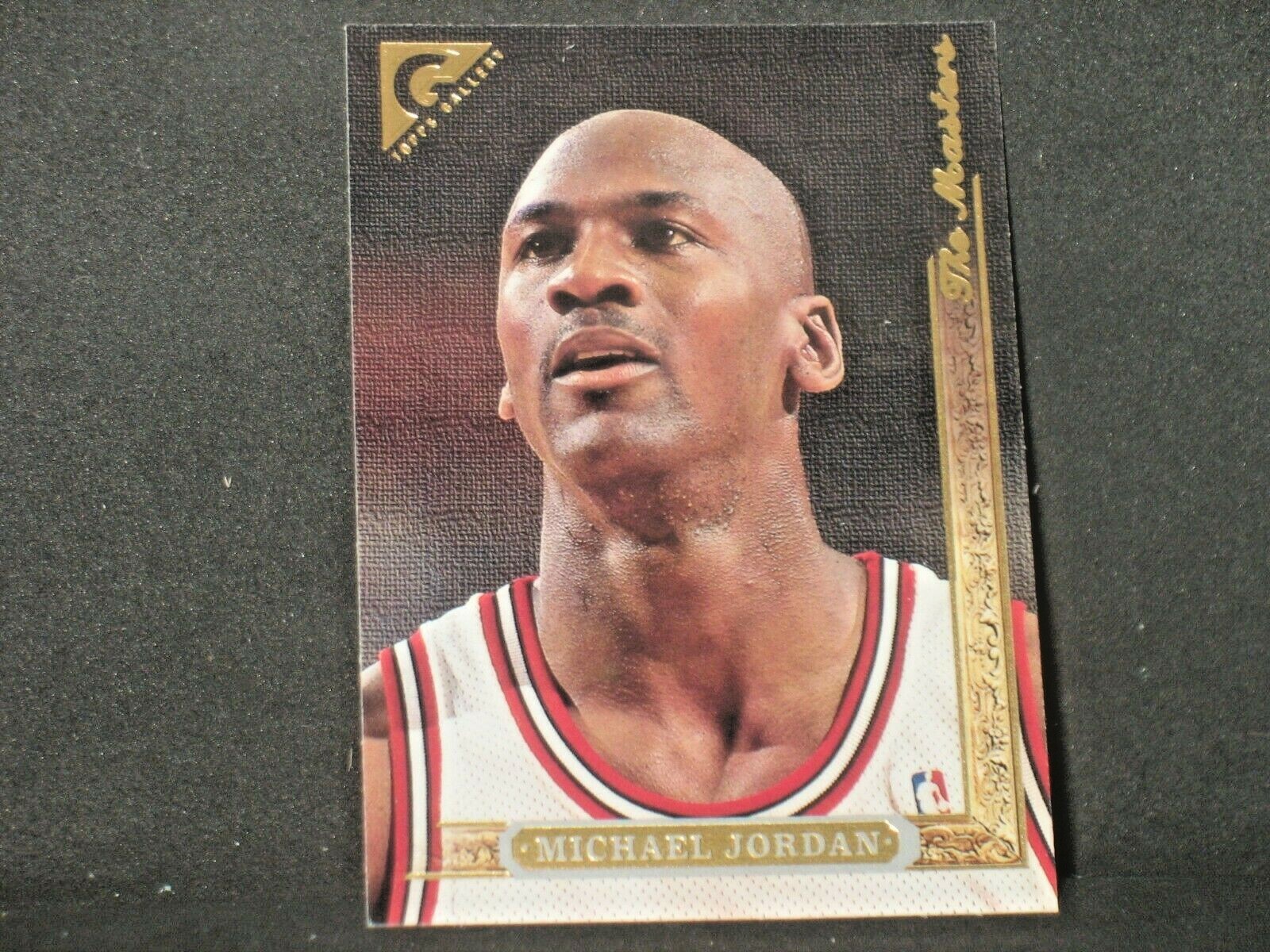 Michael Jordan 1995-96 Topps Gallery #10 Chicago Bulls
