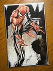 Amazing Spider-Man #14 E Signed by J. Campbell Virgin Sketch Variant LTD COA 677