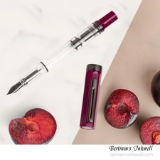 TWSBI Eco Plum with Onyx Fountain Pen