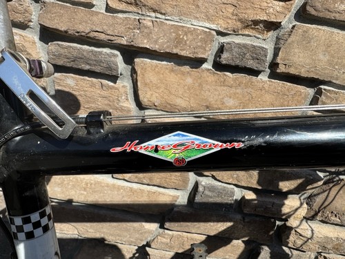 Schwinn Home Grown 9 Speed Bike - Picture 7 of 10