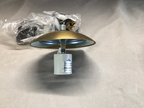 Generation Lighting 6018-848 Leo Hanging Globe Pendant One Light Satin Brass - Picture 7 of 13