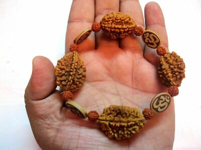 2 MUKHI RUDRAKSHA / TWO FACE RUDRAKSH BRACELET WRIST BAND - BLESSED & ENERGIZED | eBay