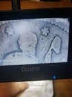 Bild 7 von 11