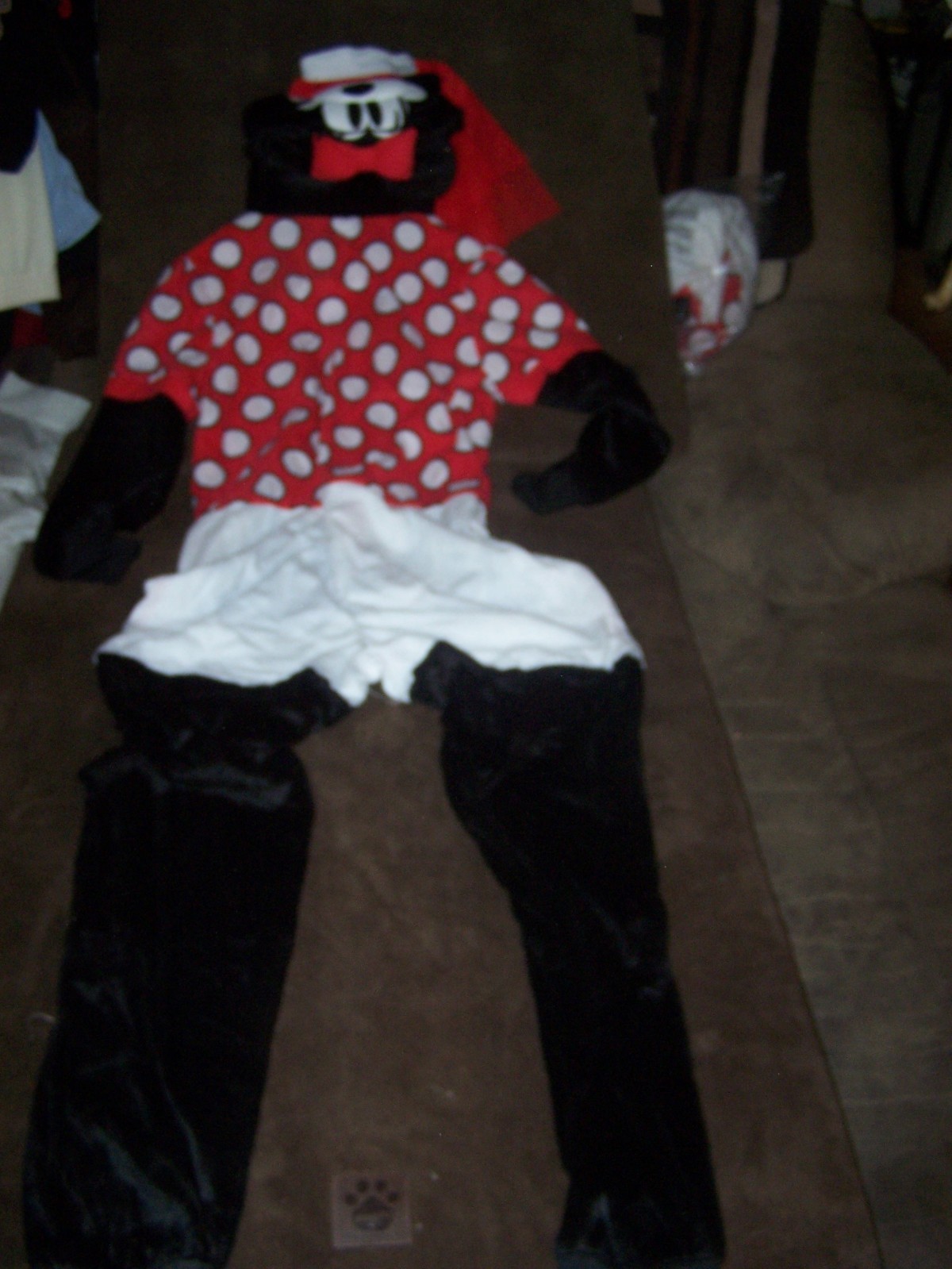 Picture 8 of 12