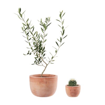 鉢・プランター Supreme Mini Planters (Set of 3) Multi Supreme Mini Planters Planters (Set of 3) Multicolor - SS25 - US