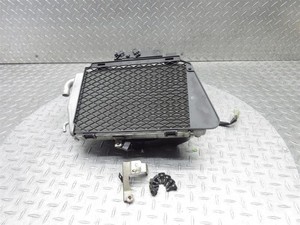 2008 06-10 Honda GL1800 Goldwing OEM Left Radiator Engine Cooling Fan