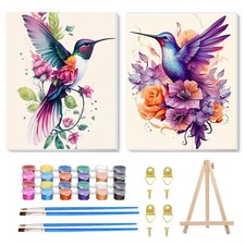 2 Pack Hummingbird Paint by Numbers with Frame, Hummingbird Paint by Numbers
