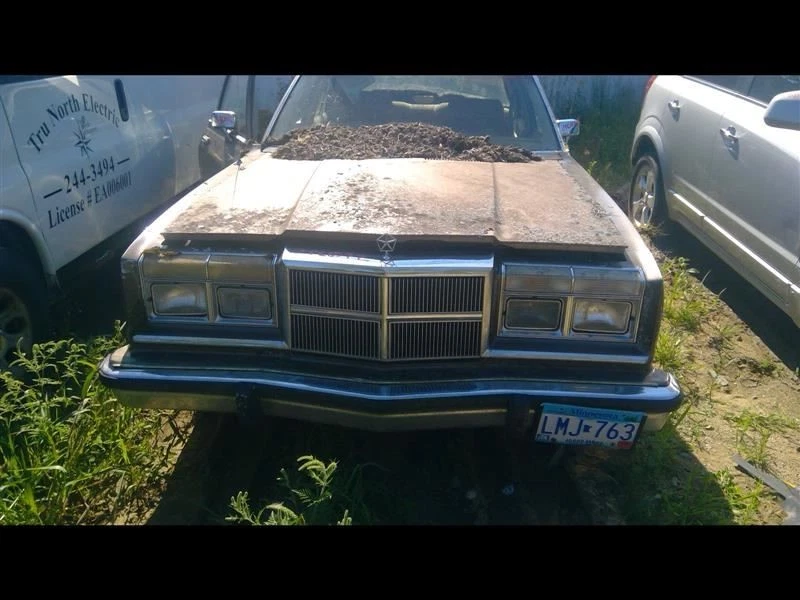 Cabezal velocímetro solo se adapta a 81-89 DIPLOMAT 297991 Foto 4 de 4