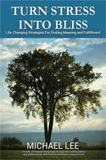 Turn Stress Into Bliss: Life-changing strategies for finding meaning and fulfill