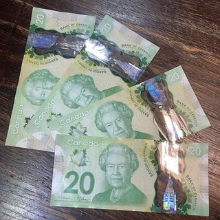 Canadá Billetes de polímero lote de divisas (4) años 2000