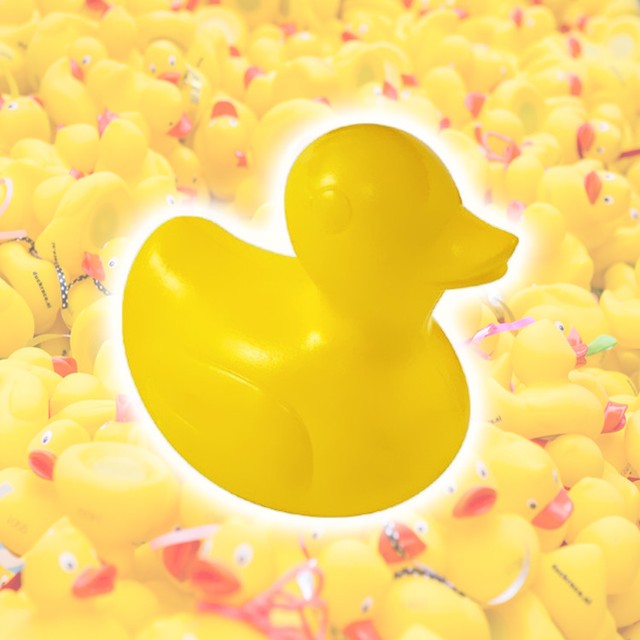 racing rubber ducks for sale
