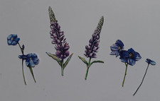 TWO RED ROBINS HEAVENLY SCENT LUPIN AND BLUE FLOWERS DIE CUTS X 5 SETS 25 PIECES