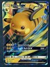 Raichu GX SM213 Black Star Promo Pokemon Card