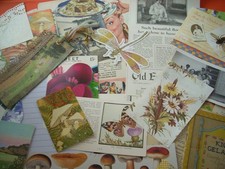 32 Pc Ephemera Pack Cottage Core Vintage Retro Junk Journal Mixed Media Alt Art