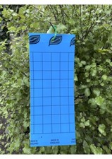 10 x Blue Sticky Fly Traps - Insect Glue for Thrip Leafminer Aphids