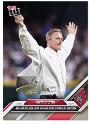   Matt Hilton, Bees Beekeeper   2024 Topps Now Card #145    Arizona
