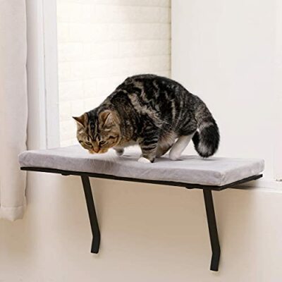 kitty sill window perch