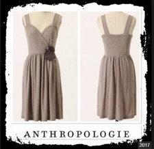 Anthropologie NWT Deletta Corsage Twirl Dress Sz S