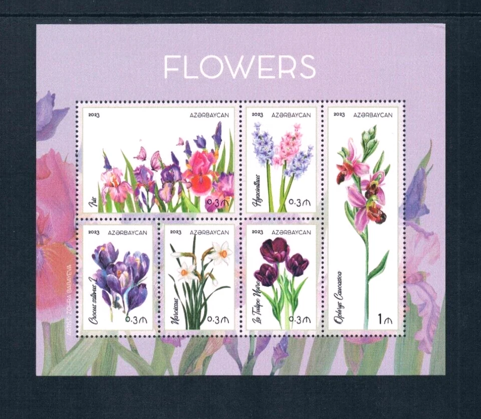 $7.50 Scott Value - 2023 AZERBAIJAN Flower s/s Central Asian MNH NH UMM - Image 3 of 4