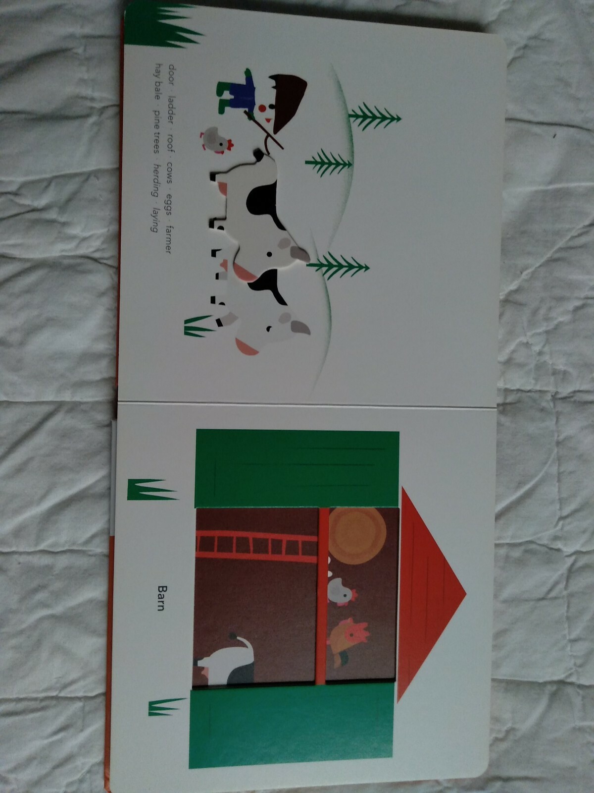 Picture 5 of 6
