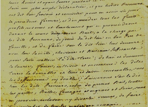 1754 GUIGNARD PEAN JOUNET bail la métairie Moutachery de Luz-en-Dunois, pigeons - Photo 3 sur 5